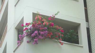 Sleepy Afternoons | Toa Payoh