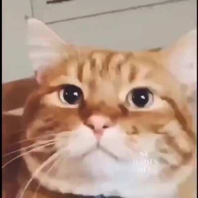 Stop, please!