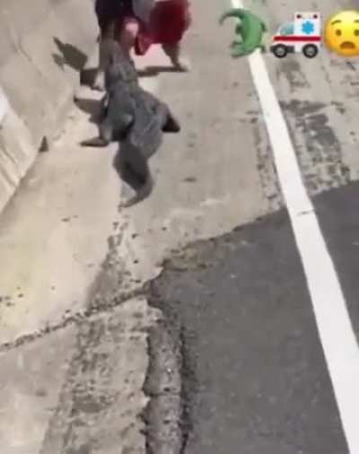 HMB while I catch this Gator