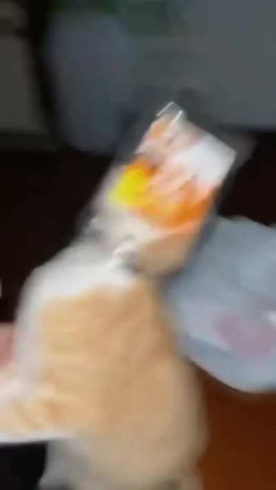 "HALP ME MOM!"