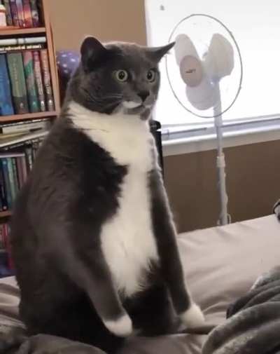 He's reliving the battle