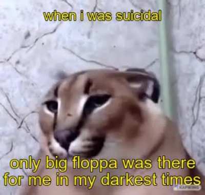 Thank you , Floppa &amp;lt;3