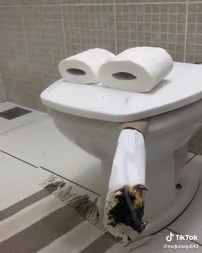 Vida