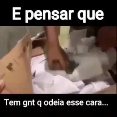 como odiar o alek