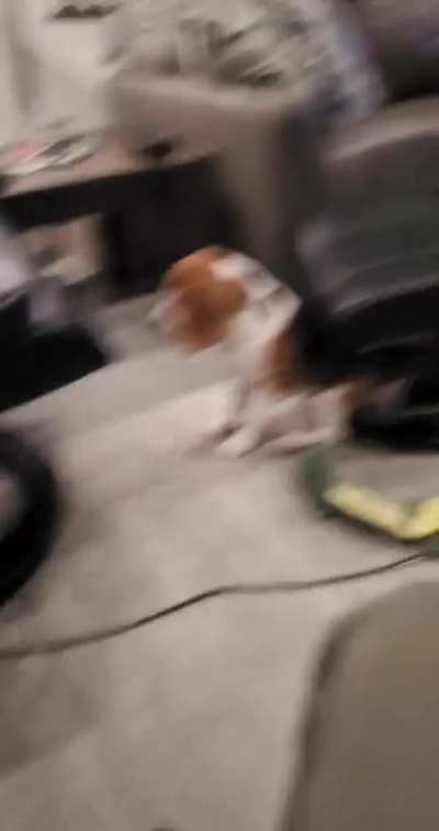perfectly cut howl