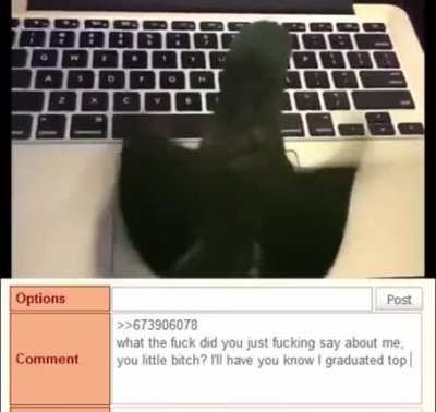 Don't fuck with me