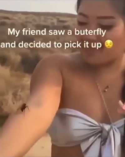 "Butterfly"