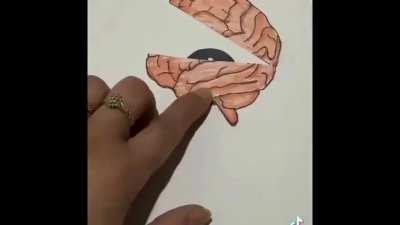 &eth;&eth;&eth;&sup3;&iuml;&cedil;&acirc;&eth;&eth;&curren;&sup2;&eth;&iquest;