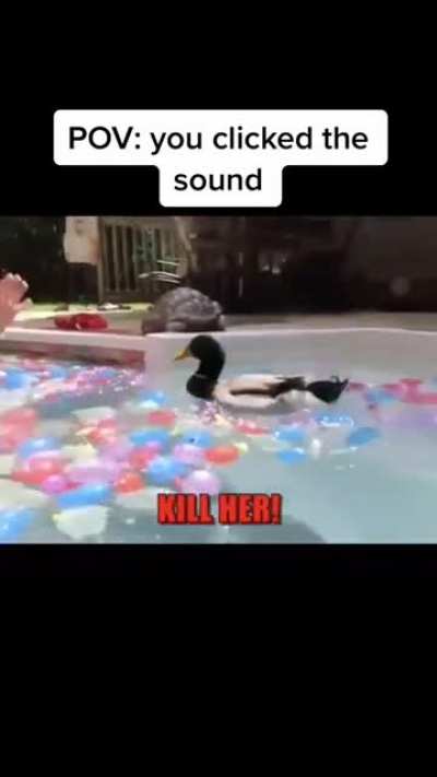 Kill her jerry