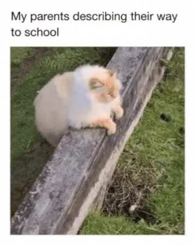 struggle is real