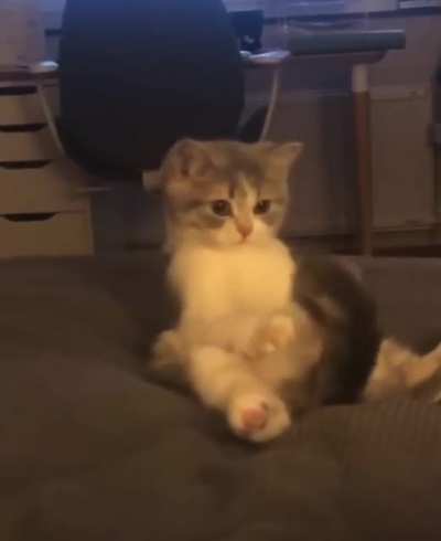 Excuse me!