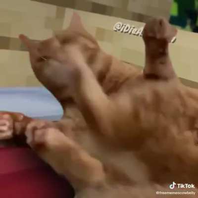 my heart crack