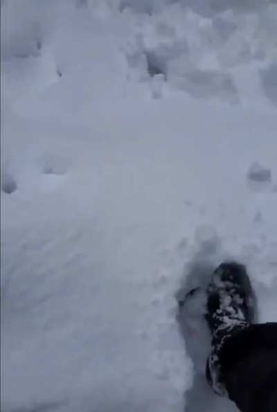 wait for it...
