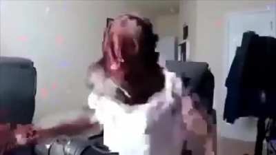 Bug