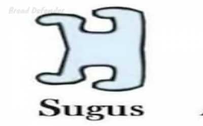 SUS