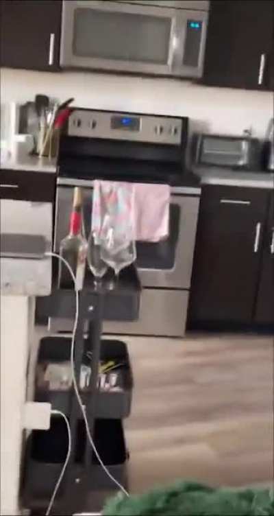 I guess the cat wasn&rsquo;t clawful enough