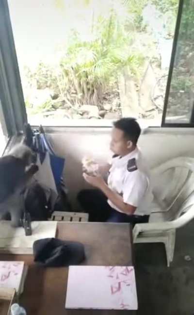 "okok, just let me take a last bite"