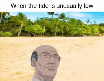 I wonder what happened to all of the wa-