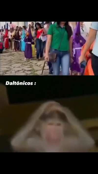 Ferrou