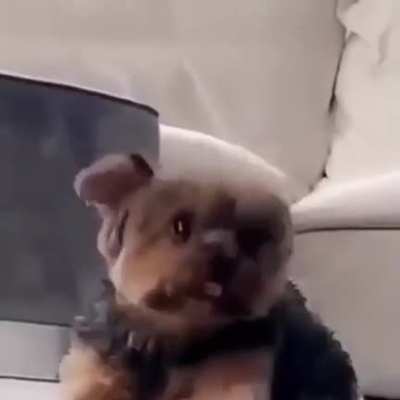 My heart is melting