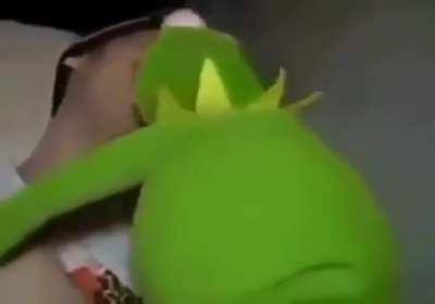 NOOOOOO NOT KERMIT