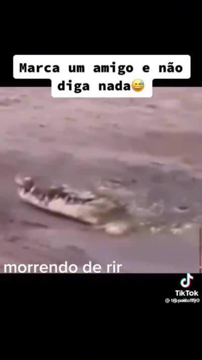 V&iacute;deo teste