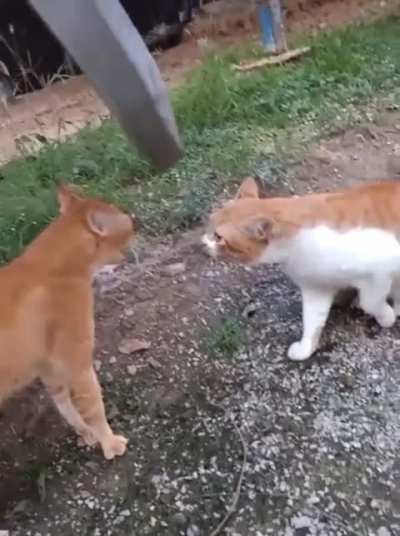 not the brightest…