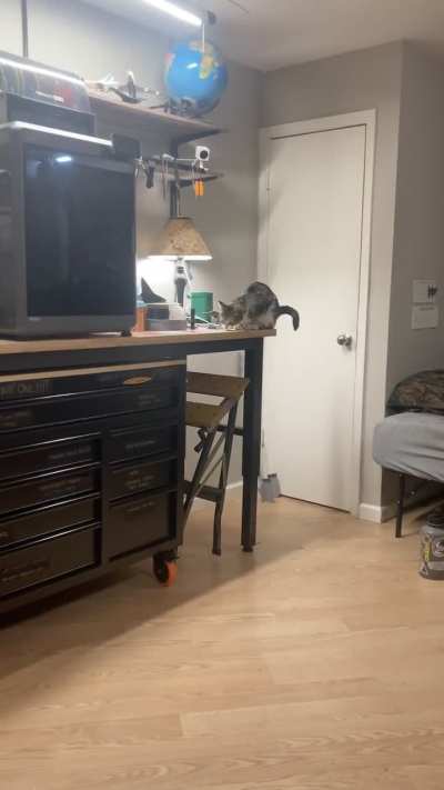 SPOILER: She is NOT supposed to be up there...