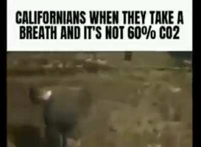 California? more like Califortnite