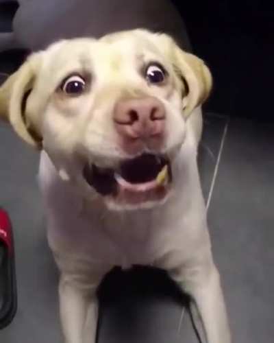 He&rsquo;s doing his best