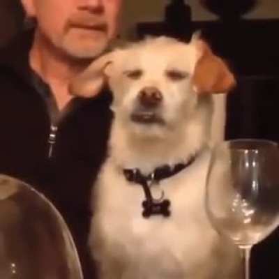 &ldquo;Oh god, Dave's telling this story again.&rdquo;