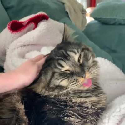 It&rsquo;s this derps birthday today. Happy Bleppin&rsquo; Birthday, Bubz!
