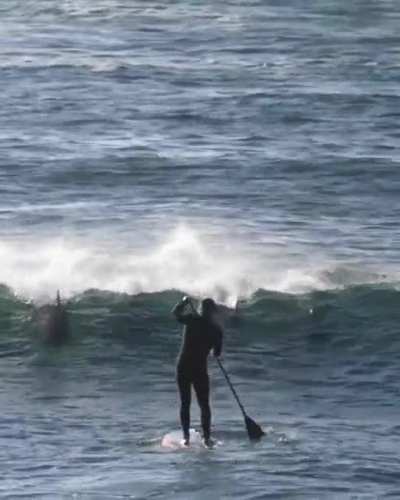 A beautiful day to stand-up paddle