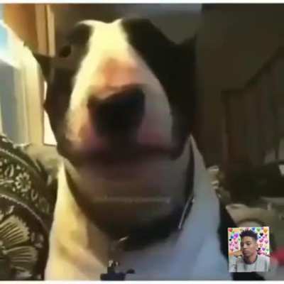 &Atilde;&Atilde;WWW