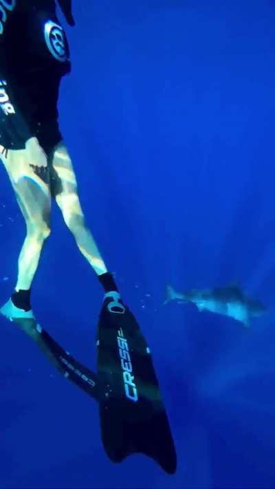 "Swimming with sharks" from ET's IG on July 17, 2022.
