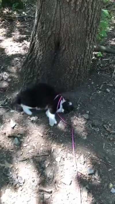 We had a very productive walk