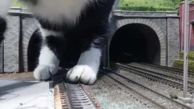 That's a big train
