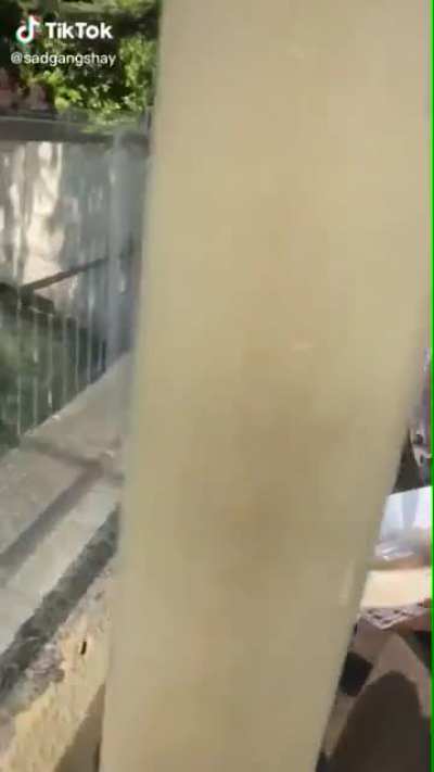 That scream do be cute tho