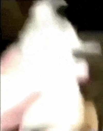 Ratatouille