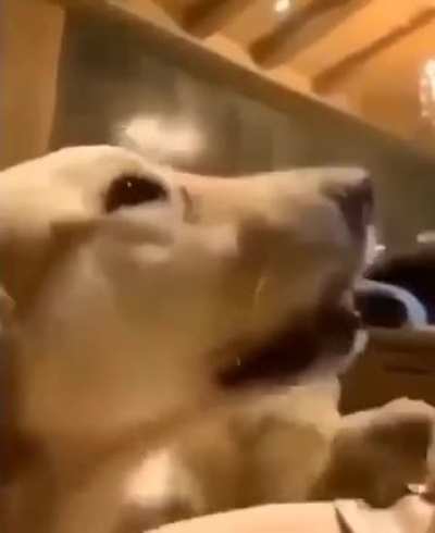 Let me handle him