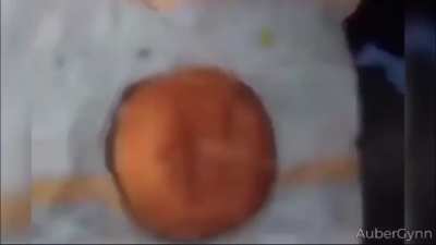 paimon sandwich