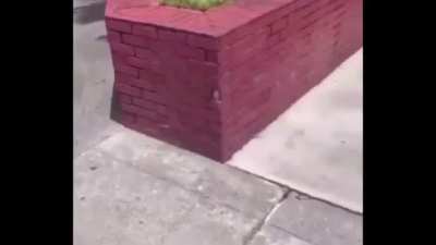 Check this hilarious compilation that we made with your videos!