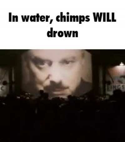 chimp swim for the sea banana