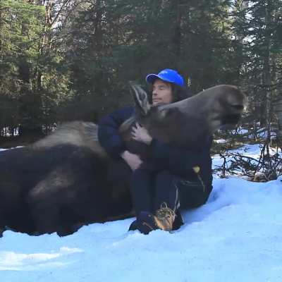 Just a big softie.