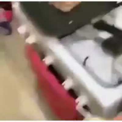 AAAA