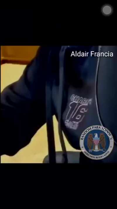 &Eacute; uma cilada Bino