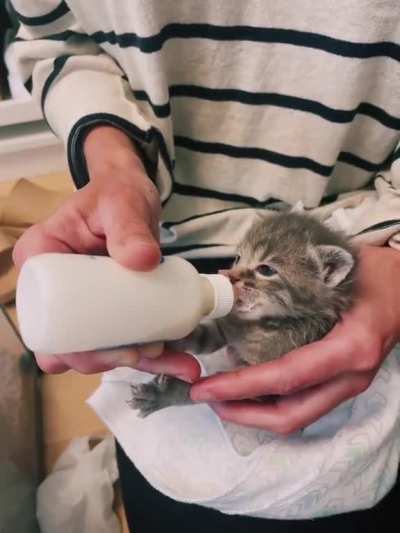 illegally smol toes