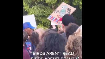 &lsquo;Birds Aren&rsquo;t Real&rsquo; Protest in NYC