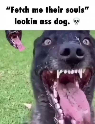 Bruh 