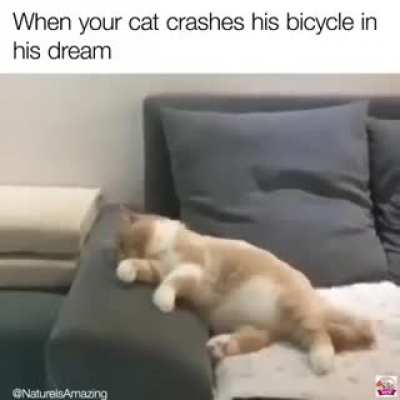 That dreams 😂
